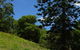 Wattle Gully Retreat - thumb 0