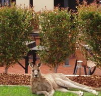 Alpha Canberra Hotel and Apartments - Phillip Island Accommodation