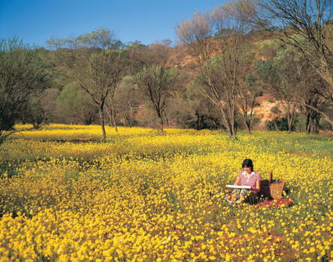 Wolfe Creek Crater Camp At Wolfe Creek Crater National Park - Phillip Island Accommodation 20