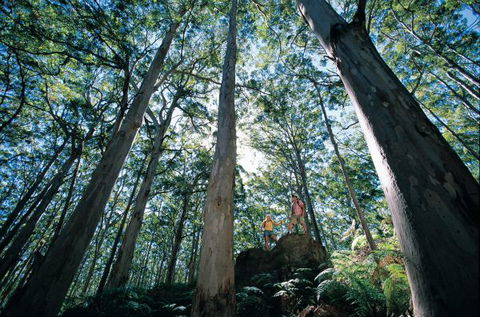 Wolfe Creek Crater Camp At Wolfe Creek Crater National Park - Phillip Island Accommodation 4