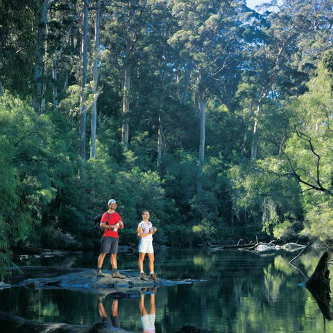 Wolfe Creek Crater Camp At Wolfe Creek Crater National Park - Phillip Island Accommodation 11
