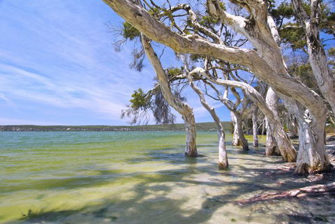 Wolfe Creek Crater Camp At Wolfe Creek Crater National Park - Phillip Island Accommodation 21