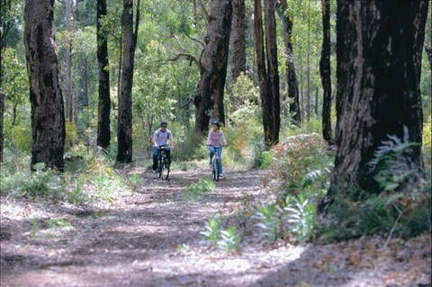 Wolfe Creek Crater Camp At Wolfe Creek Crater National Park - Phillip Island Accommodation 38