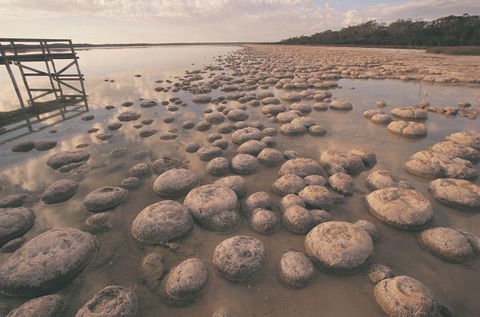Wolfe Creek Crater Camp At Wolfe Creek Crater National Park - Phillip Island Accommodation 22