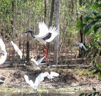 Rakhi Retreat - Phillip Island Accommodation