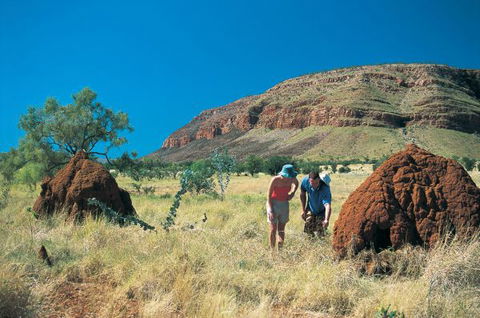 Wolfe Creek Crater Camp At Wolfe Creek Crater National Park - Phillip Island Accommodation 19