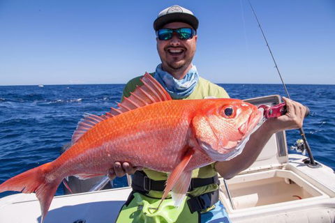 Mackerel Islands - Phillip Island Accommodation 7