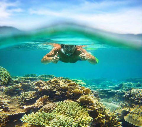 Mackerel Islands - Phillip Island Accommodation 8