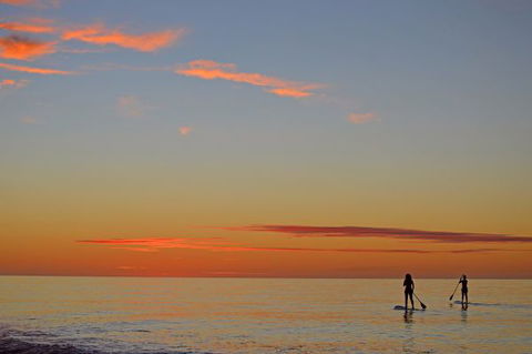 Mackerel Islands - Phillip Island Accommodation 9