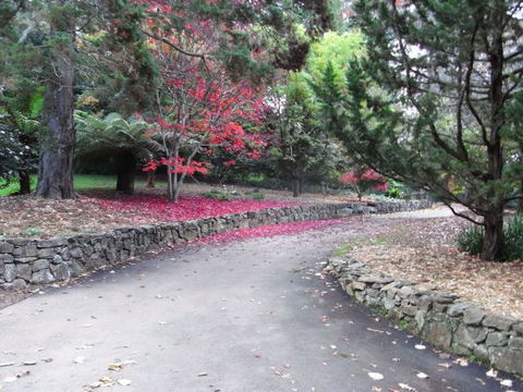 The Jungle Lodge, Blue Mountains Botanic Gardens - Phillip Island Accommodation 5