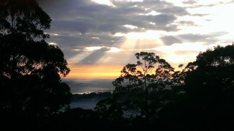The Jungle Lodge, Blue Mountains Botanic Gardens - Phillip Island Accommodation 8