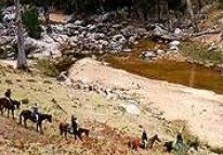 Megalong Valley Farm - Phillip Island Accommodation 3