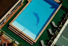 Pacific International Hotel - Phillip Island Accommodation 0