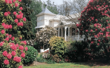 Anabel's of Scottsdale