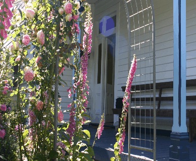 Devonport Bed And Breakfast - Phillip Island Accommodation 0