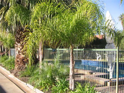 Orana Motor Inn - Phillip Island Accommodation 8