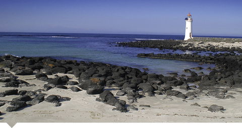 Oscars Waterfront Boutique Hotel - Phillip Island Accommodation 3