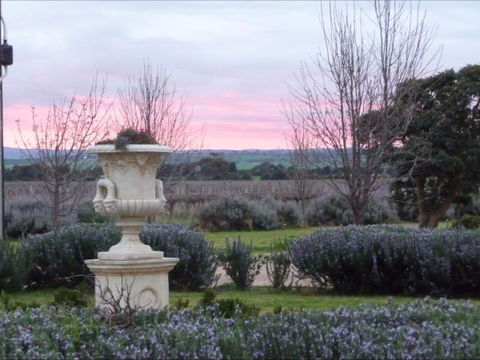 Angas Plains Estate Wines Heritage Suite - Phillip Island Accommodation 4