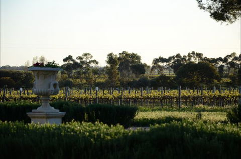 Angas Plains Estate Wines Heritage Suite - Phillip Island Accommodation 6