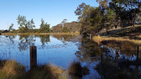 Blueberry Hills On Comleroy - Phillip Island Accommodation 8