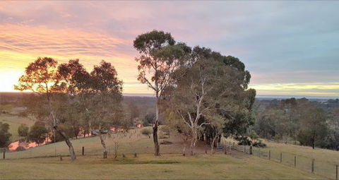 Blueberry Hills On Comleroy - Phillip Island Accommodation 9