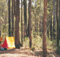 Nanga Mill Camp at Lane Poole Reserve - Phillip Island Accommodation