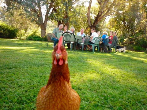 Baranduda Homestead B&B Cottages - Phillip Island Accommodation 9