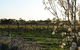 Angas Plains Wines Suites - thumb 7