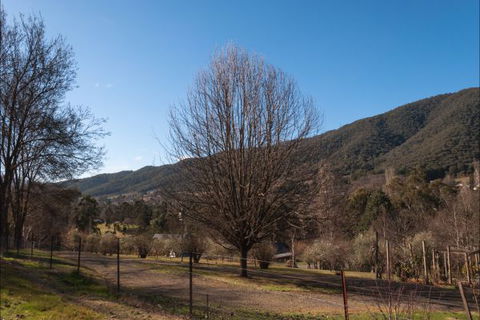 House On Higgs Lane - Phillip Island Accommodation 9