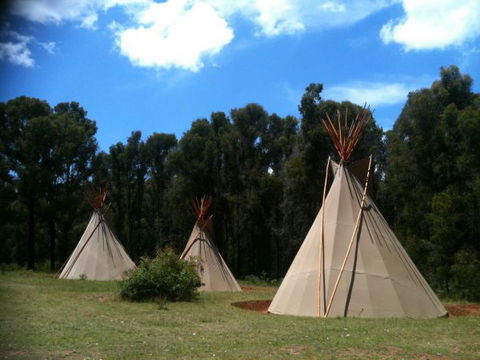 Kinglake Forest Adventures Camp - Phillip Island Accommodation 0
