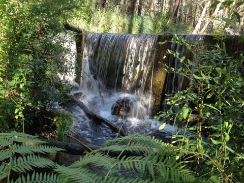 Kinglake Forest Adventures Camp - Phillip Island Accommodation 1