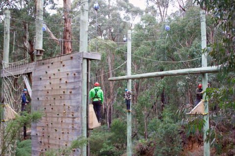 Kinglake Forest Adventures Camp - Phillip Island Accommodation 2