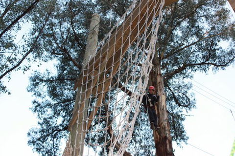 Kinglake Forest Adventures Camp - Phillip Island Accommodation 4