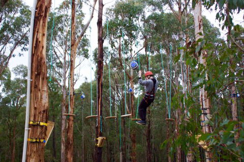 Kinglake Forest Adventures Camp - Phillip Island Accommodation 5