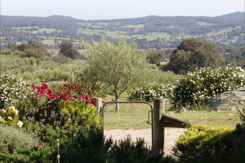 L'Oliveraie - Phillip Island Accommodation 1