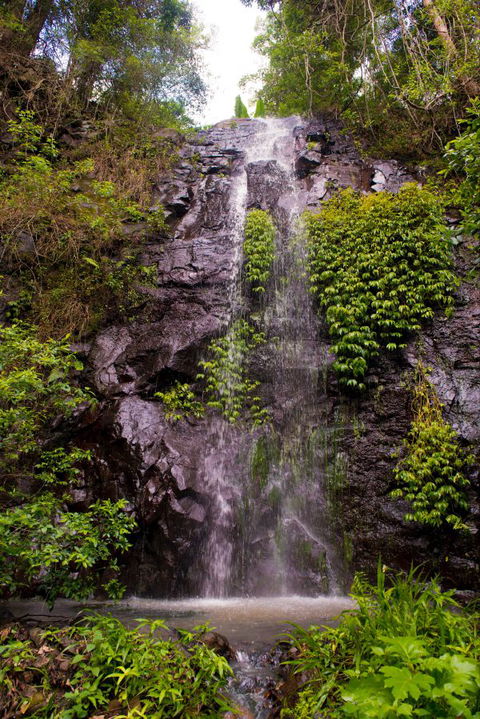 Nimbin Waterfall Retreat - Phillip Island Accommodation 0