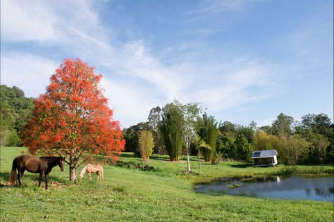 Nimbin Waterfall Retreat - Phillip Island Accommodation 1