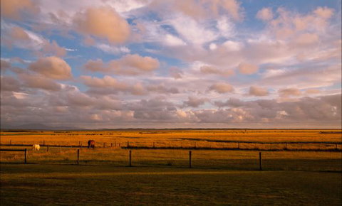 Sanctuary@Waratah - Phillip Island Accommodation 8