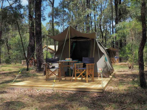 Tall Trees Camping On The Great Ocean Road - Phillip Island Accommodation 0