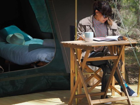 Tall Trees Camping On The Great Ocean Road - Phillip Island Accommodation 1