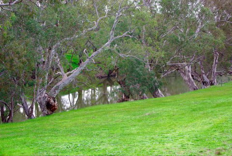 Yalooka Farm - Phillip Island Accommodation 4