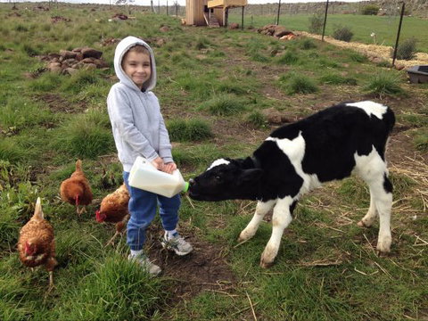 Yalooka Farm - Phillip Island Accommodation 8