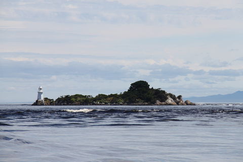 Aloft Boutique Accommodation - Phillip Island Accommodation 7