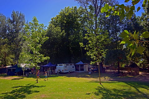 Ardern's Caravan Park Myrtleford - Phillip Island Accommodation 0