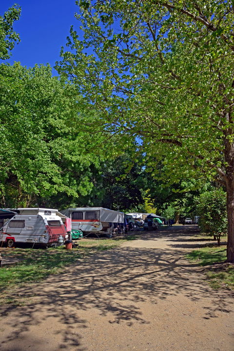 Ardern's Caravan Park Myrtleford - Phillip Island Accommodation 1