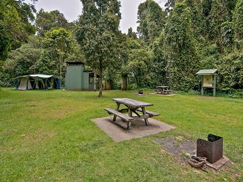 Forest Tops Campground - Phillip Island Accommodation 0