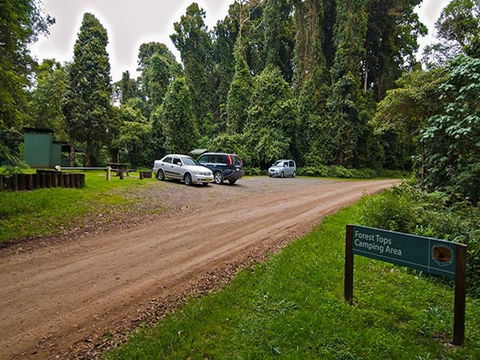 Forest Tops Campground - Phillip Island Accommodation 1