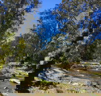 Highfield Farm and Woodland Bush Campsites - Phillip Island Accommodation