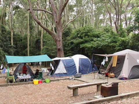 Pebbly Beach Campground - Yuraygir National Park - Phillip Island Accommodation 0