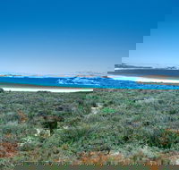 Lucky Bay Campground at Cape Le Grand National Park - Phillip Island Accommodation